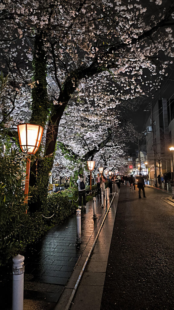 Kyoto - Kiyamachi-dori