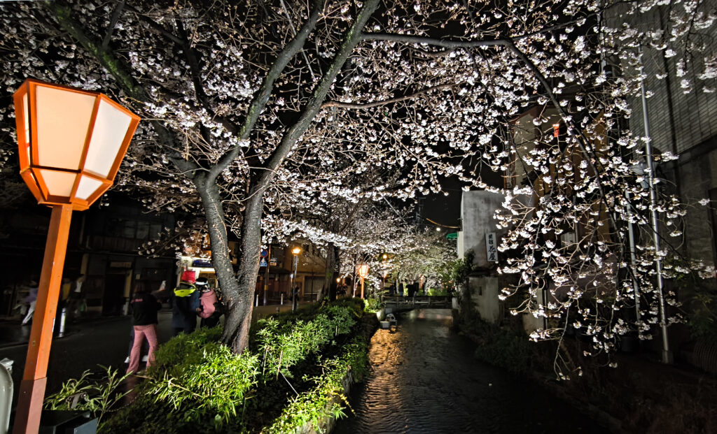 Kyoto - Kiyamachi-dori