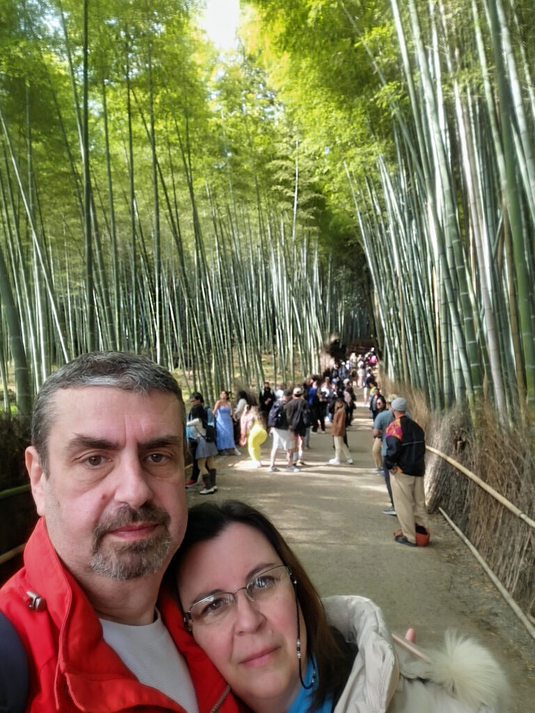 Kyoto - Arashiyama foresta bambu