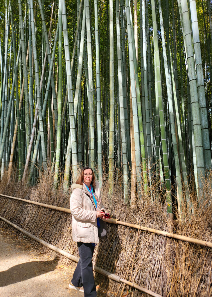 Kyoto - Arashiyama foresta bambu