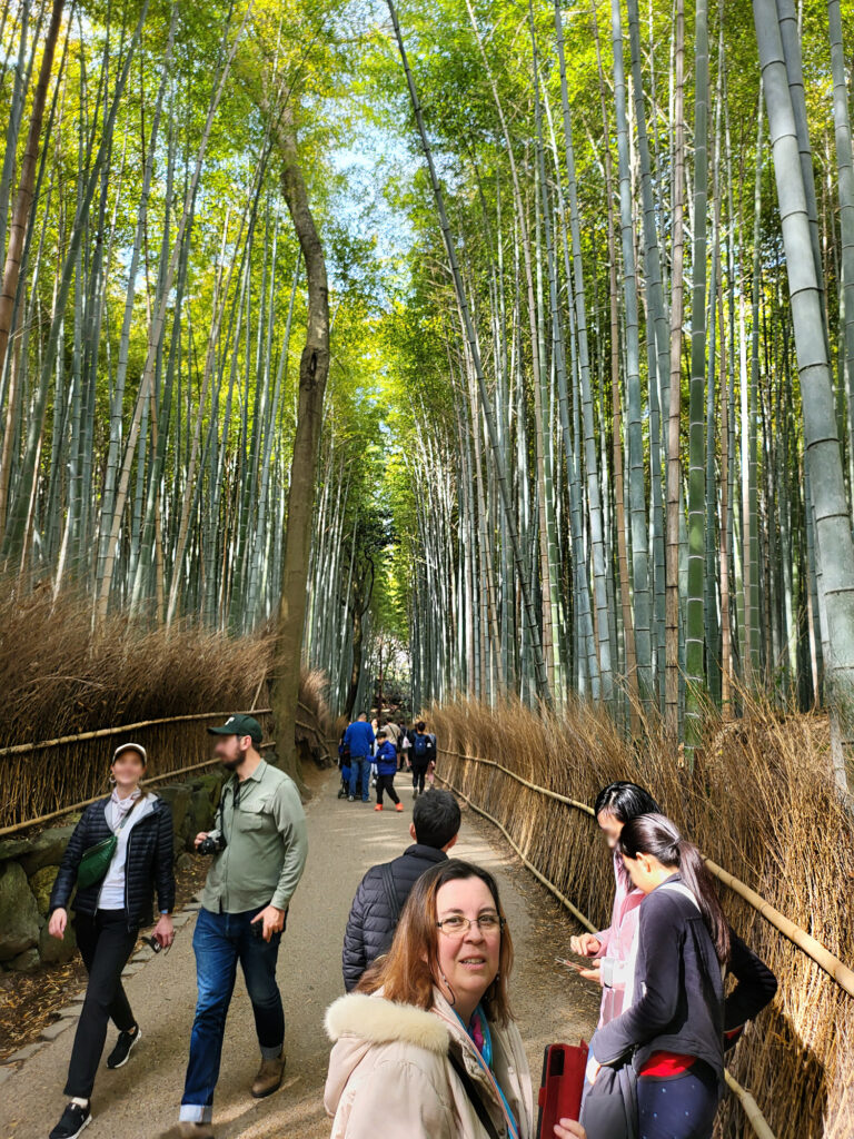 Kyoto - Arashiyama foresta bambu