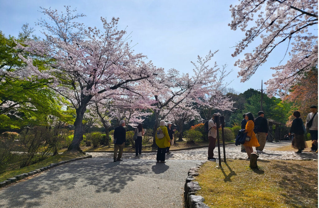 Kyoto - Arashiyama park