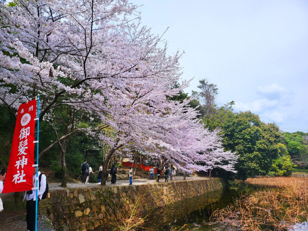 Kyoto - Arashiyama - Ogura Pond