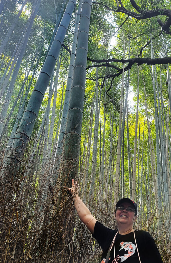 Kyoto - Arashiyama foresta bambu