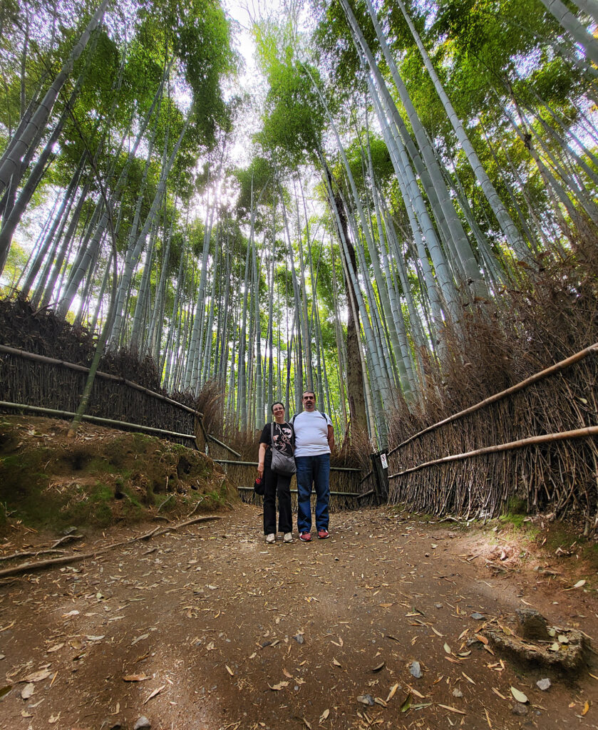 Kyoto - Arashiyama foresta bambu