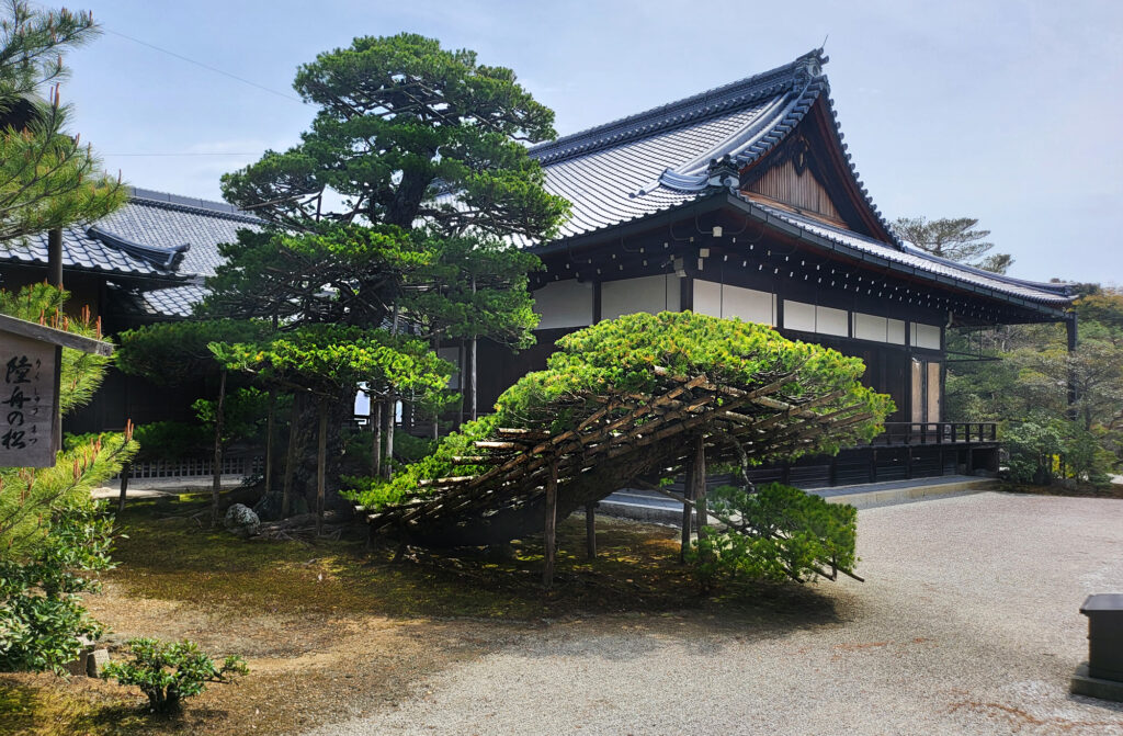 Kyoto - Kinkakuji oro