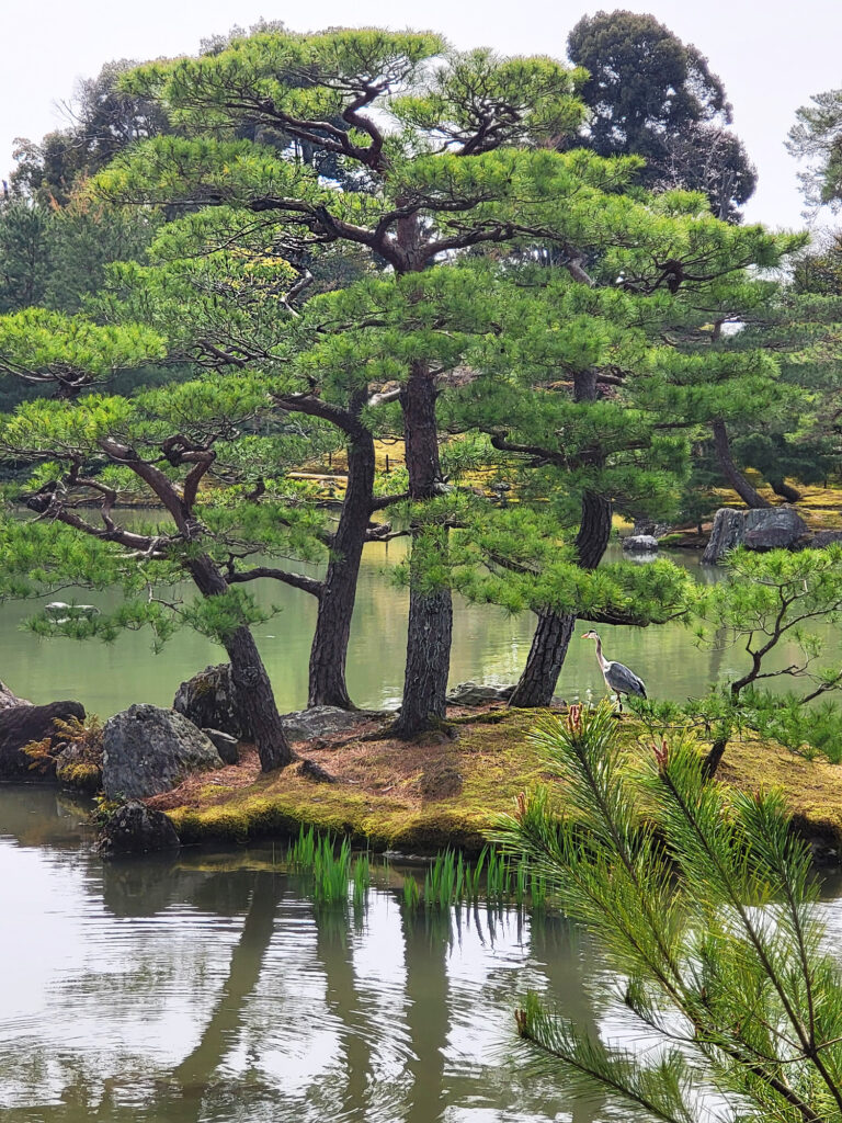 Kyoto - Kinkakuji oro