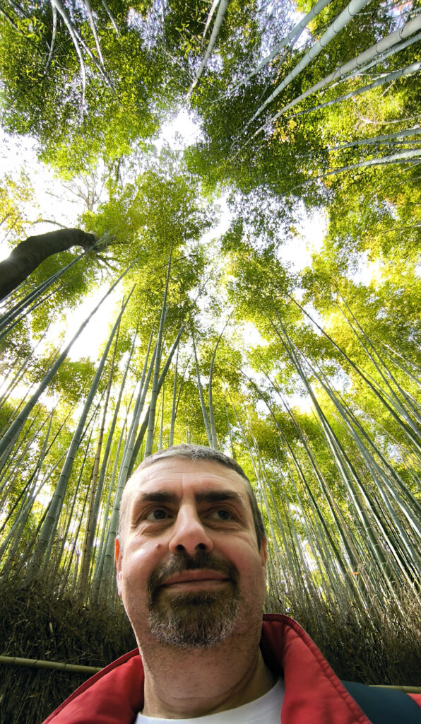 Kyoto - Arashiyama foresta bambu
