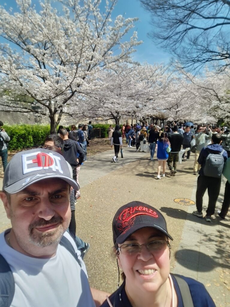 Osaka Castle Park - ciliegi