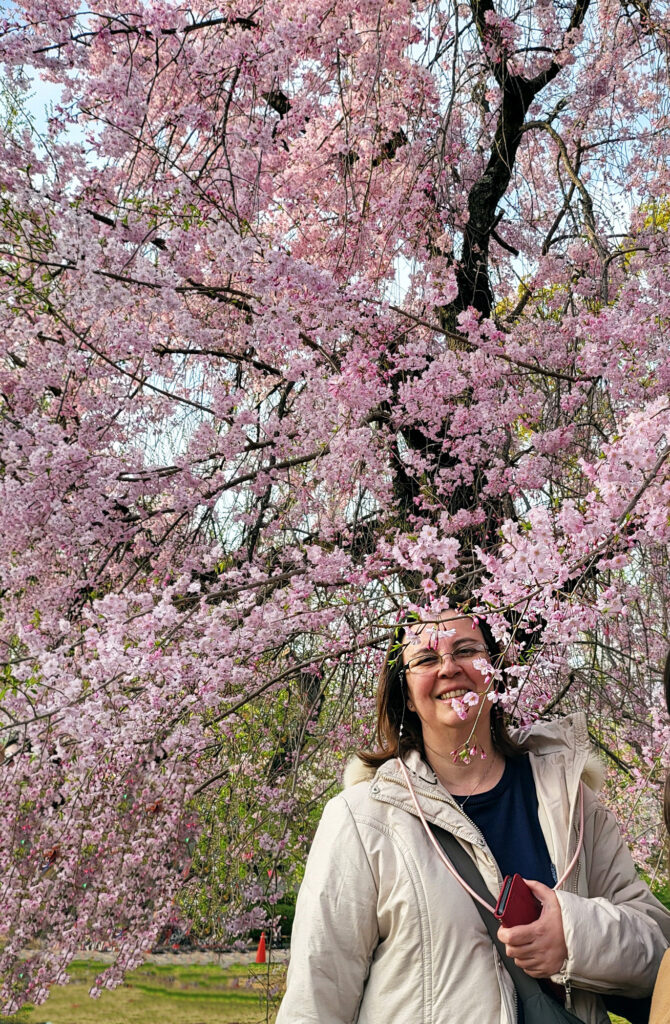 Osaka Castle Park - ciliegi