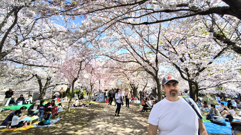 Osaka Castle Park - ciliegi