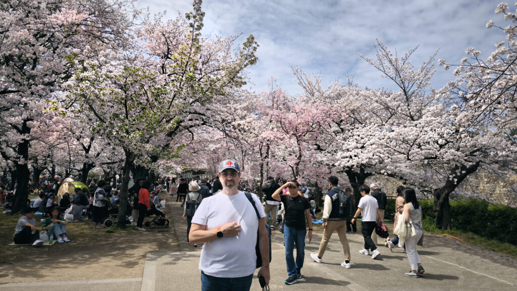 Osaka Castle Park - ciliegi