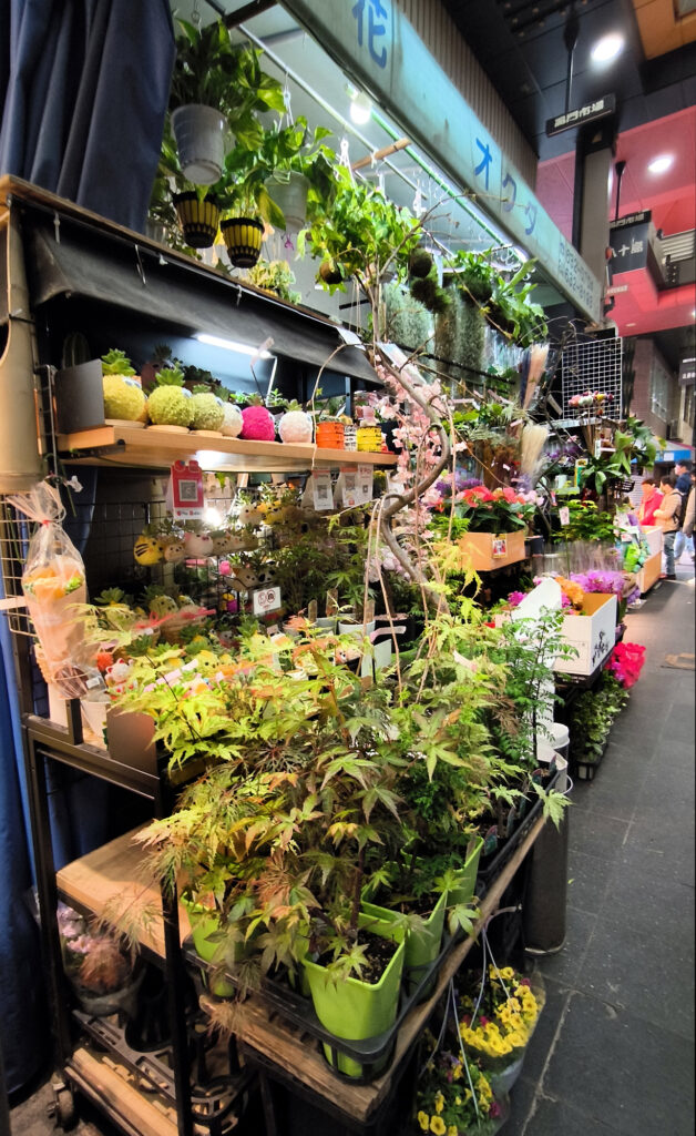 Osaka - Kuromon Market